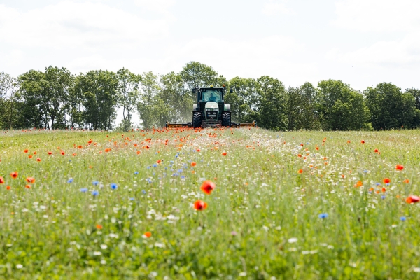 Tracktor mäht eine Wiese mit Mohn- und Kornblumen.